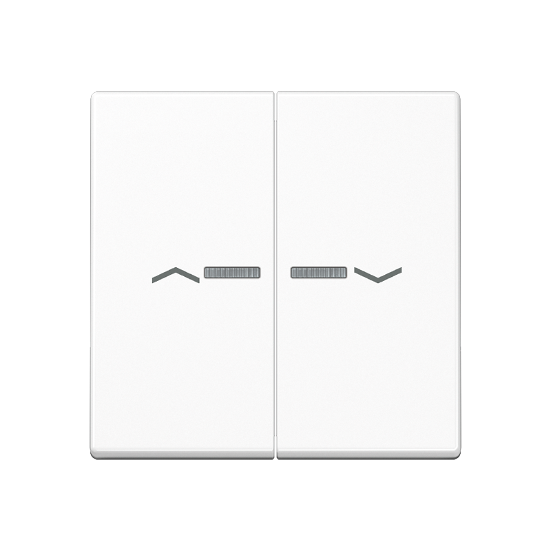 Изображение A595BFKO5PWW  Клавиша для выключателя с подсветкой - завод JUNG