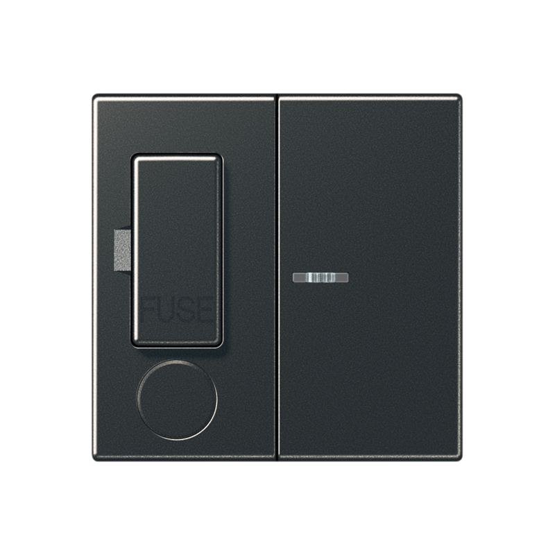 Изображение A3190CUKOANMPL  Накладка - завод JUNG