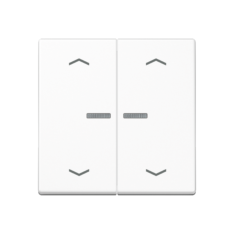 Изображение A595BFKO5MPWW  Клавиша для выключателя с подсветкой - завод JUNG