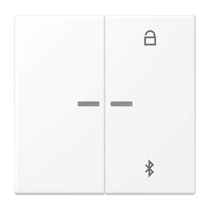 Изображение LS1751BTWWM  Таймер универсальный Bluetooth - завод JUNG