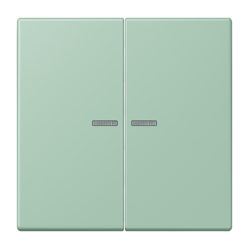 Изображение LC102KO5217  Клавиша с окошком - завод JUNG