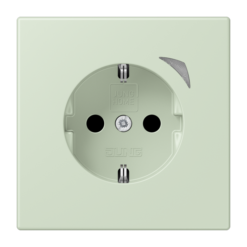 Изображение BTLC1521SE218  JUNG HOME SCHUKO® розетка Energy - завод JUNG