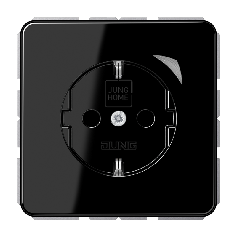 Изображение BTCD1521SSW  JUNG HOME SCHUKO® розетка - завод JUNG