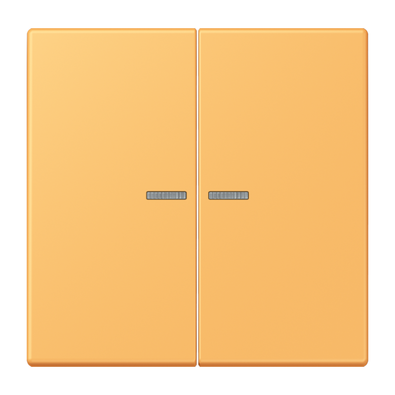 Изображение BTLC17102254  JUNG HOME кнопка, 2 группы - завод JUNG