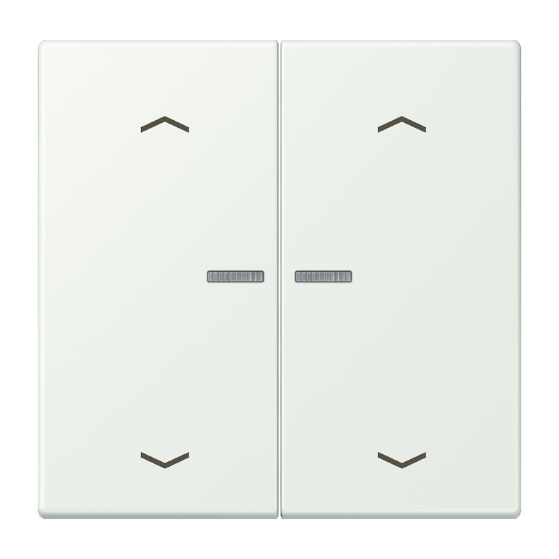 Изображение LC102KO5P210  Клавиша с окошком и с символами «стрелки» - завод JUNG