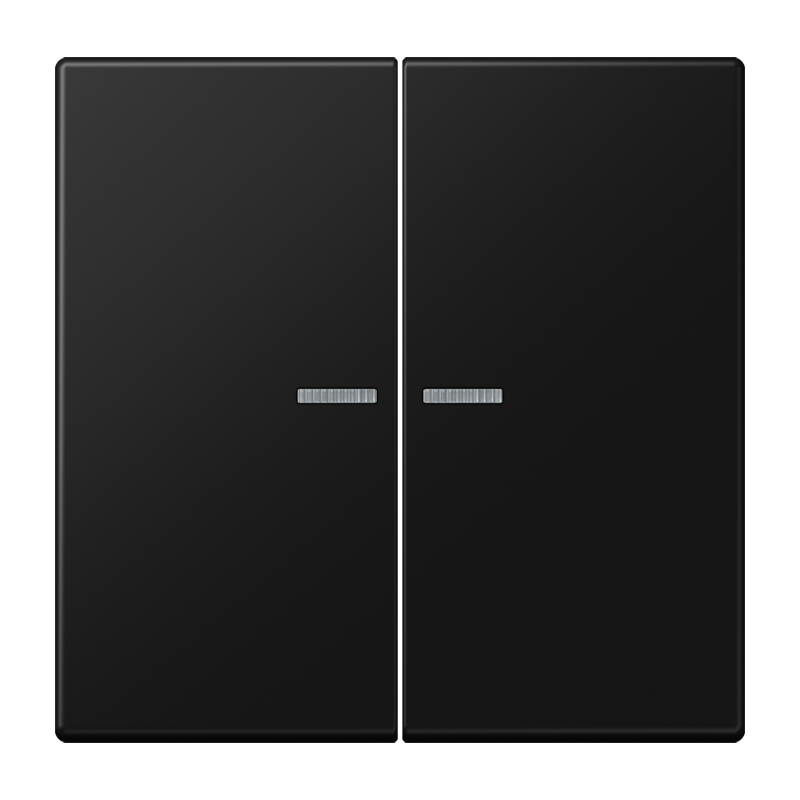 Изображение LS10921STRFSWM  KNX RF кнопка, 2 группы - завод JUNG