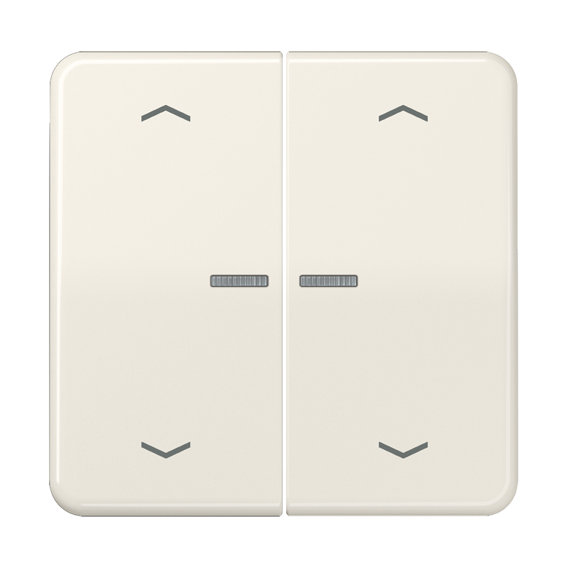 Изображение CD595KO5MP  Клавиши для сдвоенной кнопки BCU; слоновая кость - завод JUNG