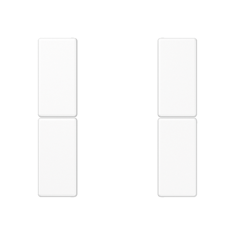 Изображение A502TSAWW  Набор накладок 2 группы - завод JUNG