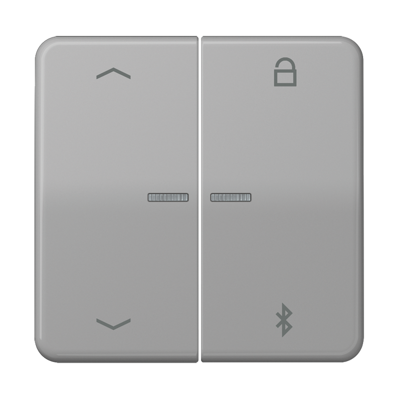 Изображение CD1751PBTGR  Таймер универсальный Bluetooth «стрелки» - завод JUNG
