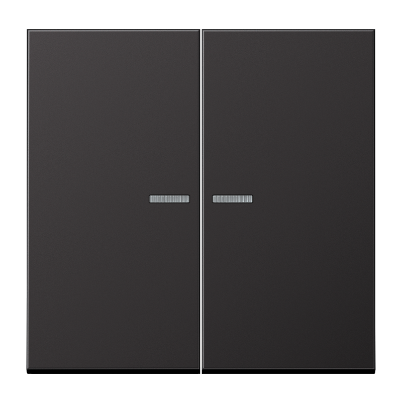 Изображение AL10921STRFD  KNX RF кнопка, 2 группы - завод JUNG