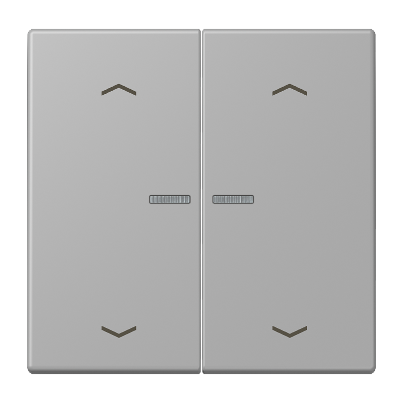 Изображение BTLC17102P204  JUNG HOME кнопка, 2 группы с символами «стрелки» - завод JUNG