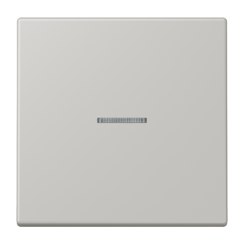 Изображение LC101KO5205  Клавиша с окошком - завод JUNG