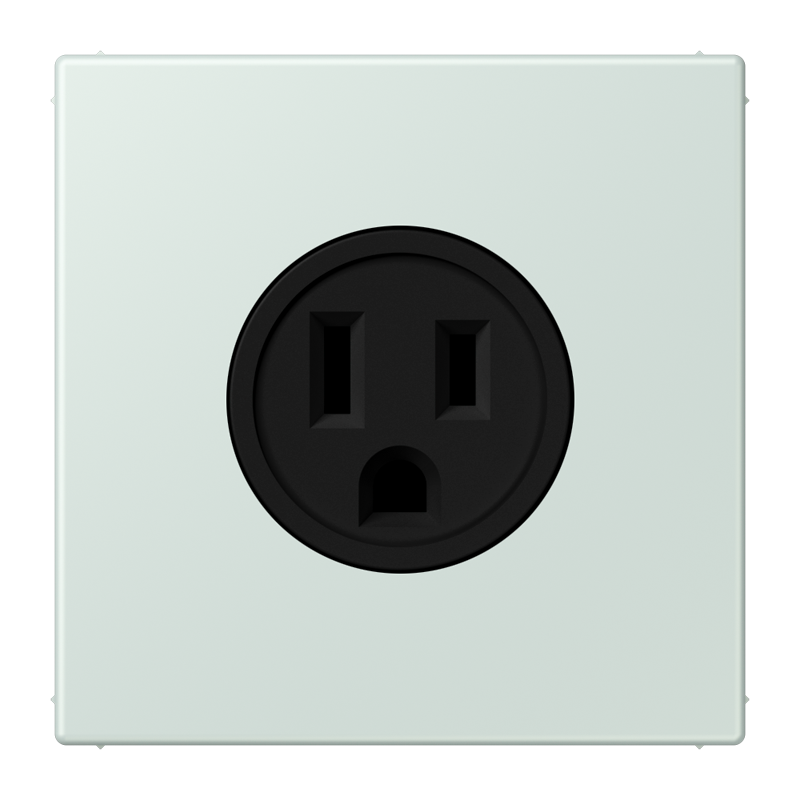 Изображение LC521-15215  Socket, US NEMA system - завод JUNG