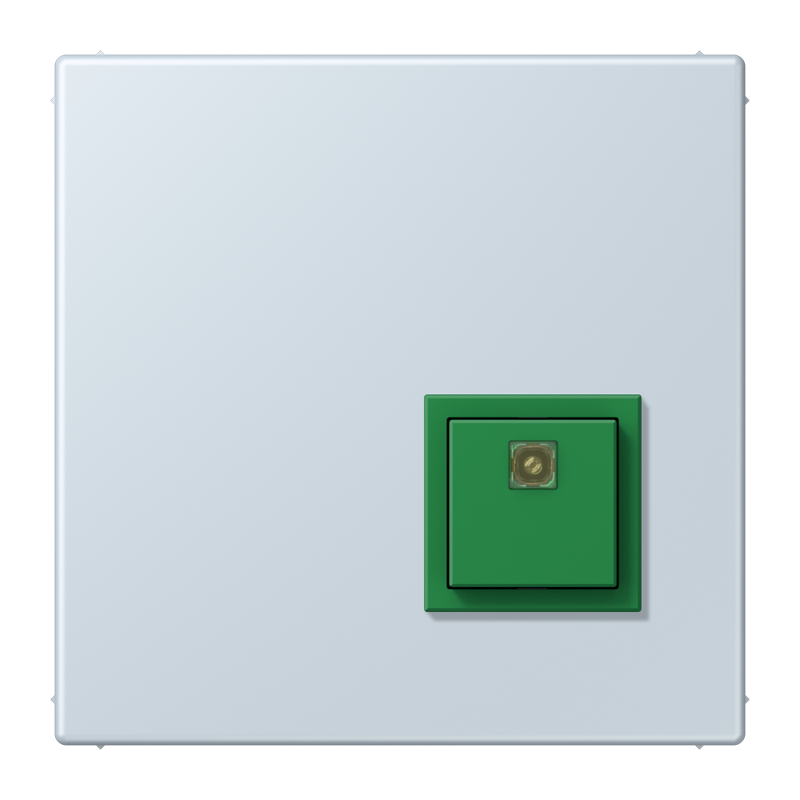 Изображение NRSLC0834AT209  Reset button - завод JUNG