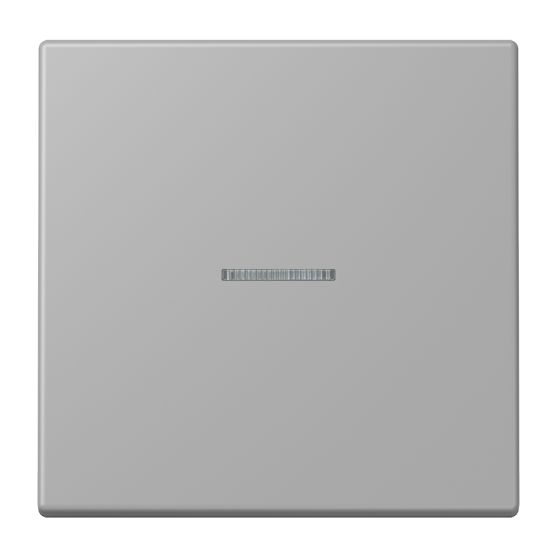 Изображение LC101KO5204  Клавиша с окошком - завод JUNG