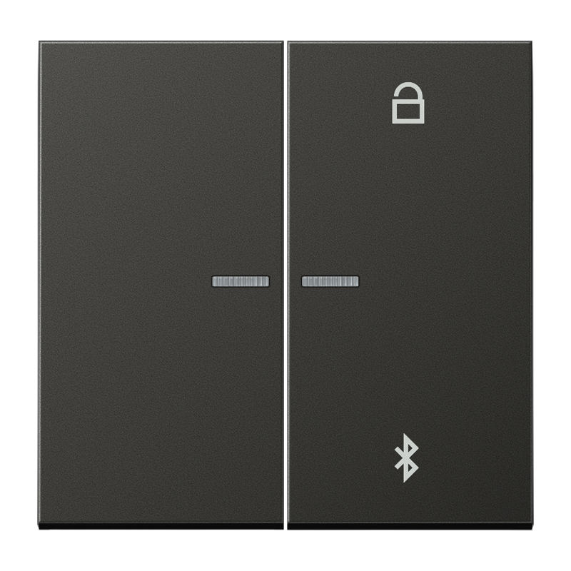 Изображение AL1751BTAN  Таймер универсальный Bluetooth - завод JUNG