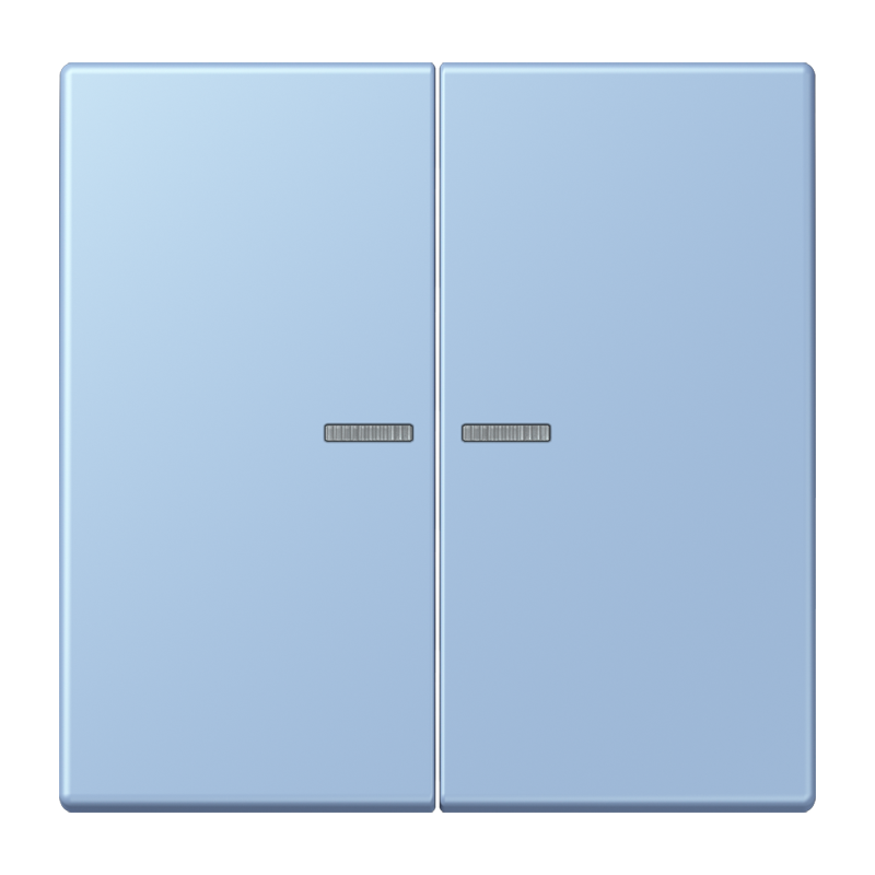 Изображение LC102KO5207  Клавиша с окошком - завод JUNG