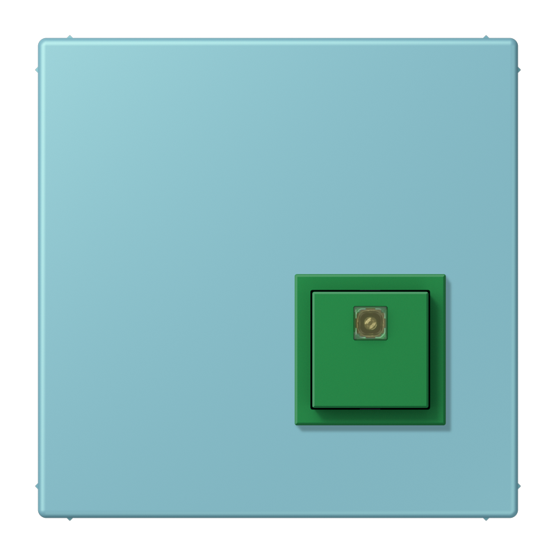 Изображение NRSLC0834AT213  Reset button - завод JUNG