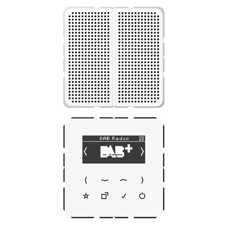 Изображение DABCD1WW  Смарт радио DAB+, моно - завод JUNG