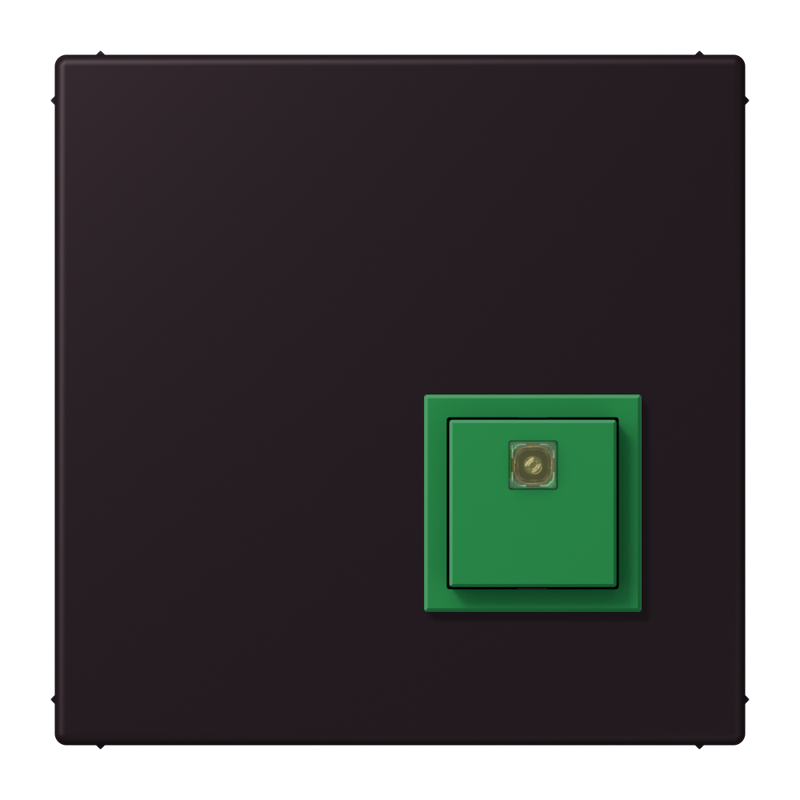 Изображение NRSLC0834AT248  Reset button - завод JUNG