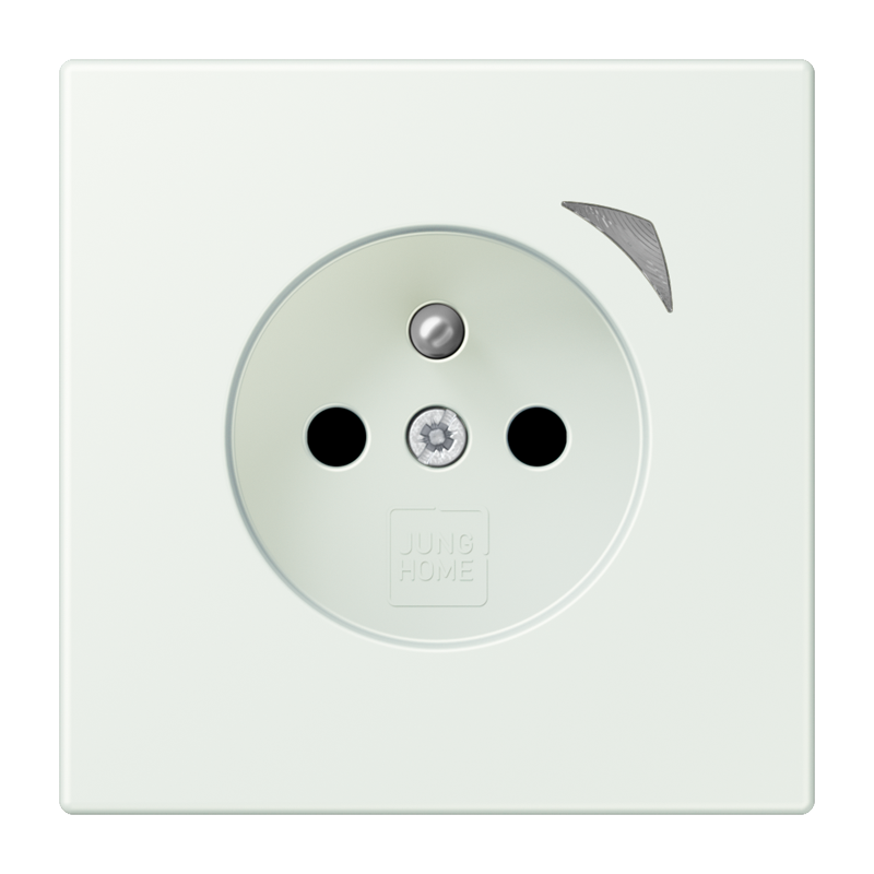 Изображение BTLC1521FSE210  JUNG HOME розетка Energy, франко-бельгийской системы - завод JUNG