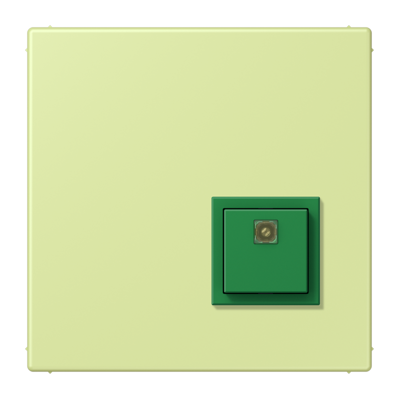 Изображение NRSLC0834AT222  Reset button - завод JUNG