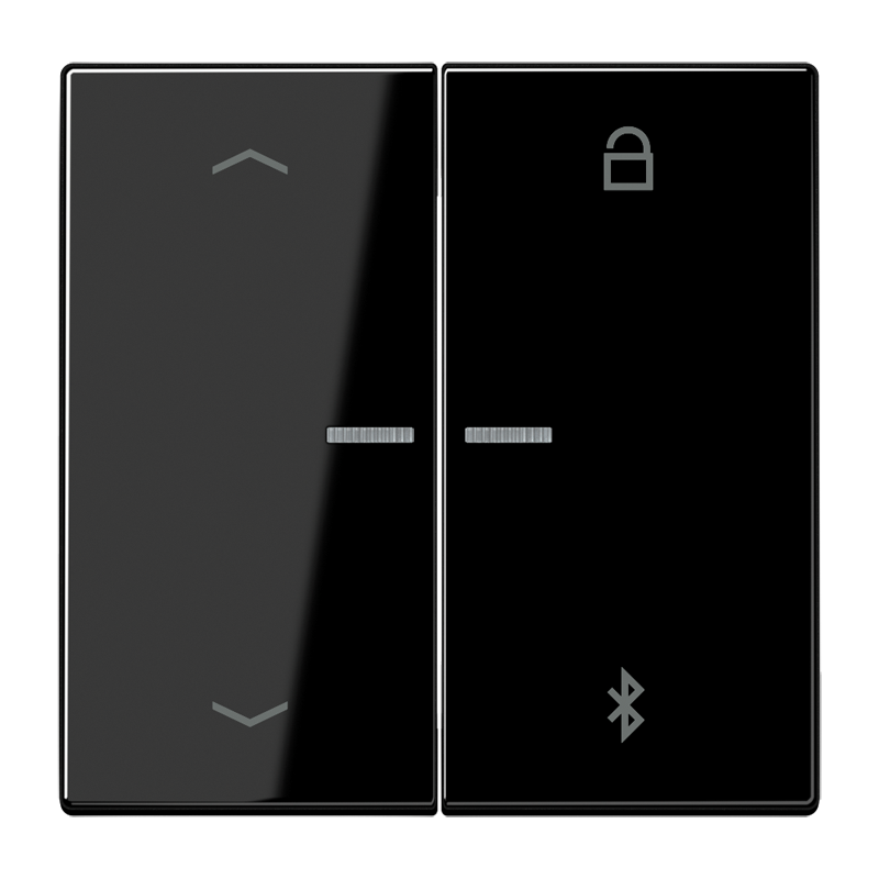 Изображение LS1751PBTSW  Таймер универсальный Bluetooth «стрелки» - завод JUNG