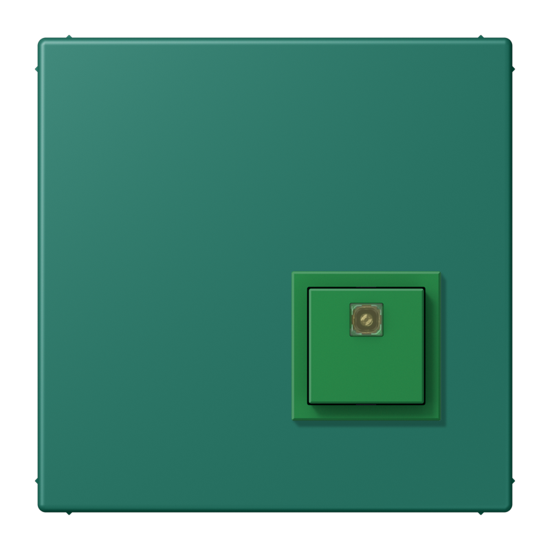 Изображение NRSLC0834AT216  Reset button - завод JUNG