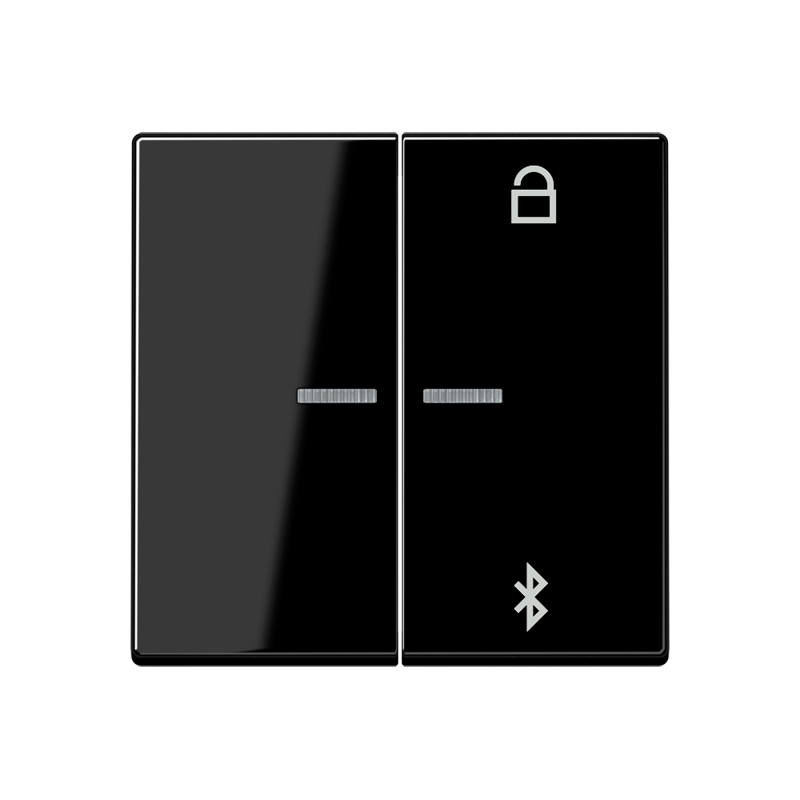 Изображение A1751BTSW  Таймер универсальный Bluetooth - завод JUNG