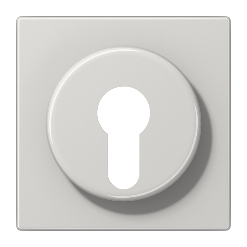 Изображение LS928LG  Kрышка - завод JUNG