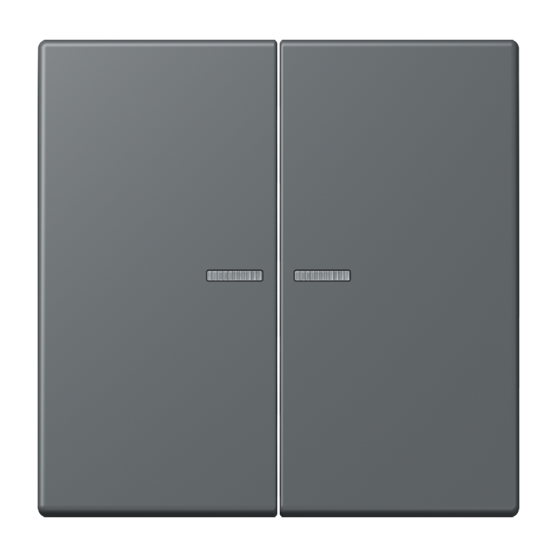 Изображение LC102KO5202  Клавиша с окошком - завод JUNG