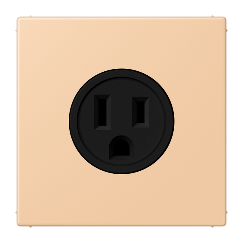 Изображение LC521-15237  Socket, US NEMA system - завод JUNG