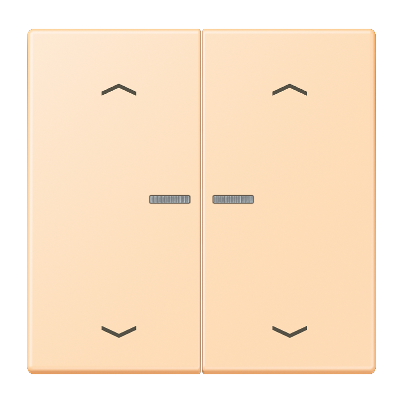 Изображение BTLC17102P223  JUNG HOME кнопка, 2 группы с символами «стрелки» - завод JUNG