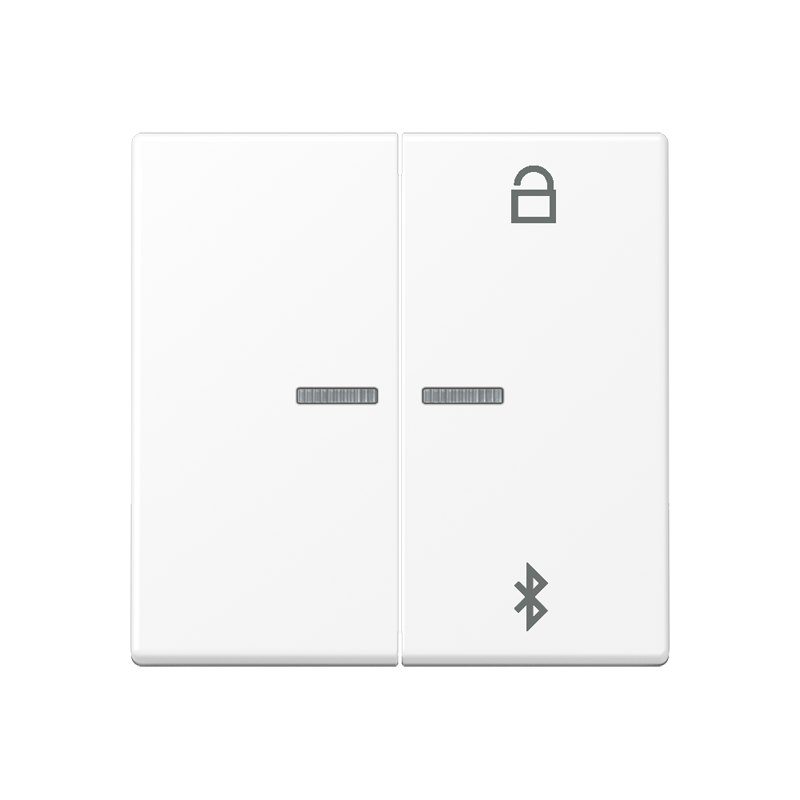 Изображение A1751BFBTWWM  Таймер универсальный Bluetooth - завод JUNG