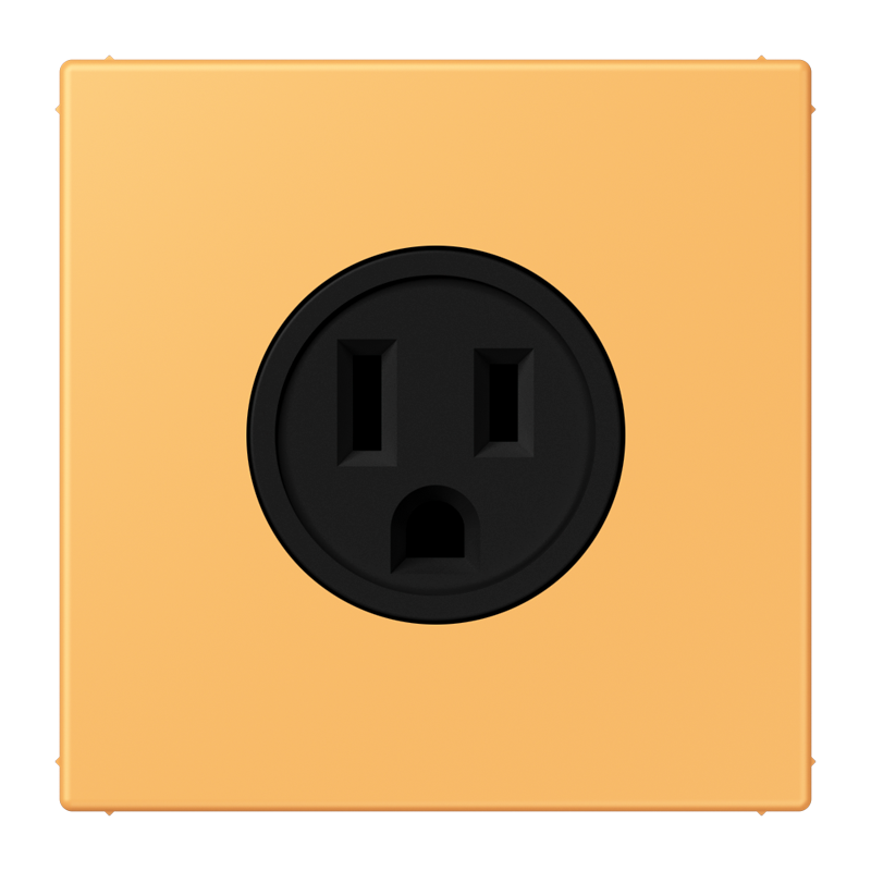 Изображение LC521-15254  Socket, US NEMA system - завод JUNG