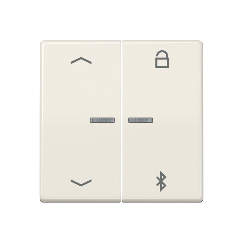 Изображение AS1751PBT  Таймер универсальный Bluetooth «стрелки» - завод JUNG