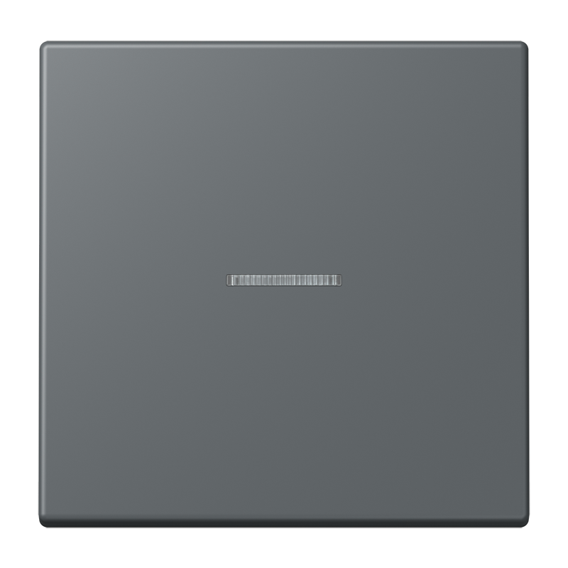 Изображение LC101KO5202  Клавиша с окошком - завод JUNG