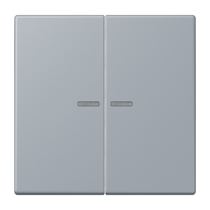 Изображение LC102KO5257  Клавиша с окошком - завод JUNG