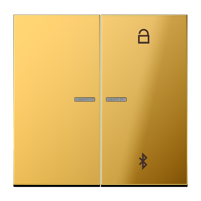 Изображение GO1751BT  Таймер универсальный Bluetooth - завод JUNG
