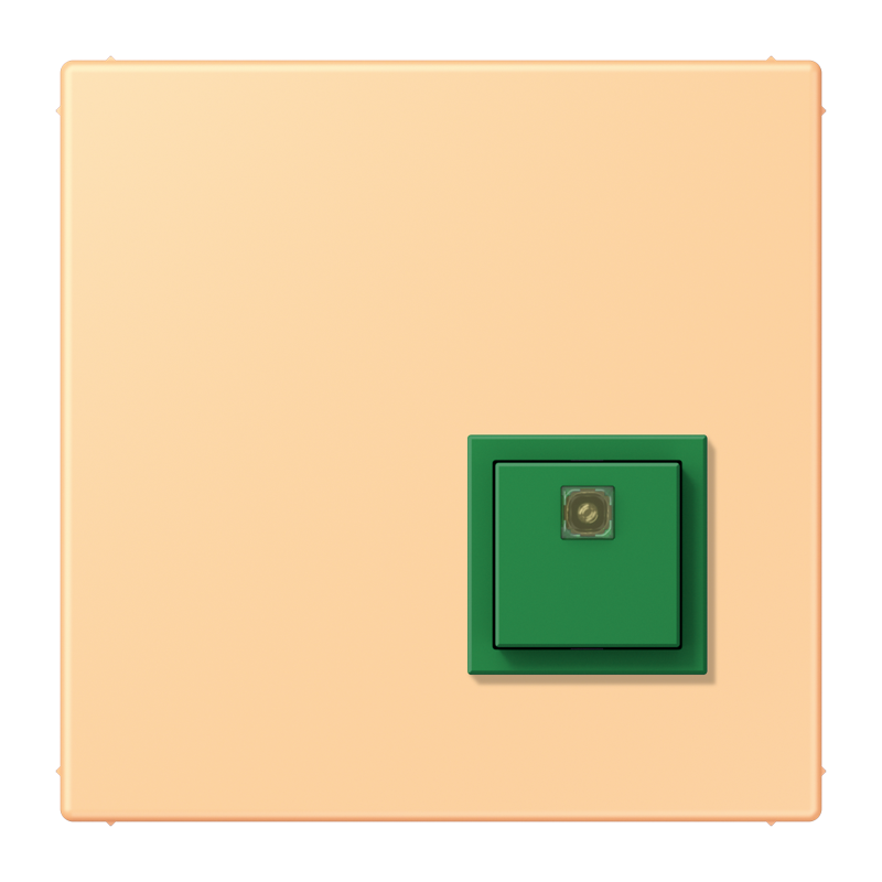Изображение NRSLC0834AT258  Reset button - завод JUNG