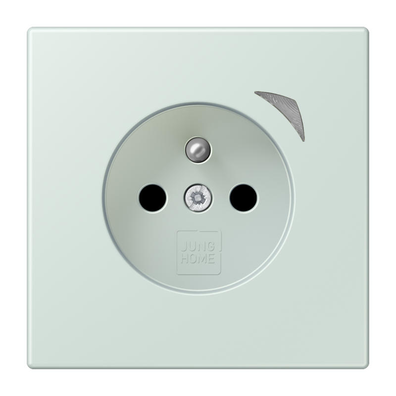 Изображение BTLC1521FSE215  JUNG HOME розетка Energy, франко-бельгийской системы - завод JUNG