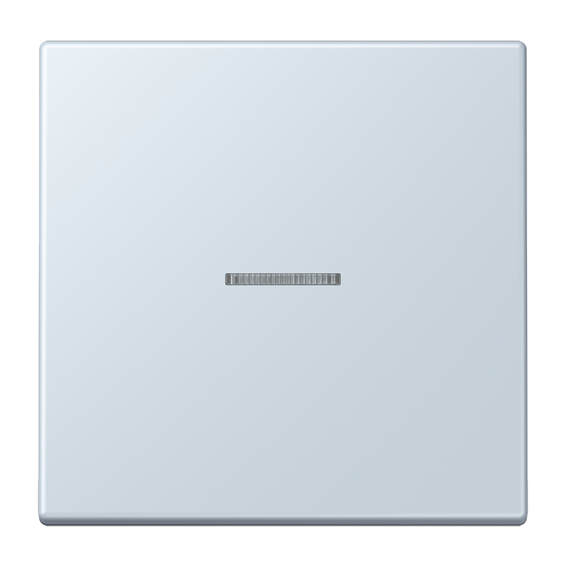 Изображение LC101KO5209  Клавиша с окошком - завод JUNG