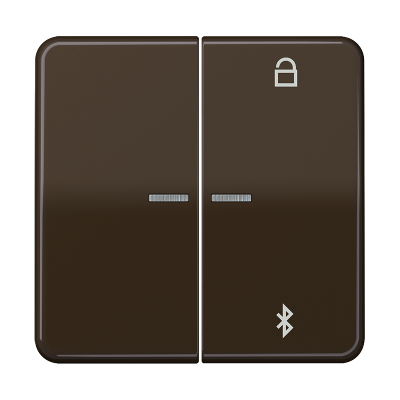Изображение CD1751BTBR  Таймер универсальный Bluetooth - завод JUNG