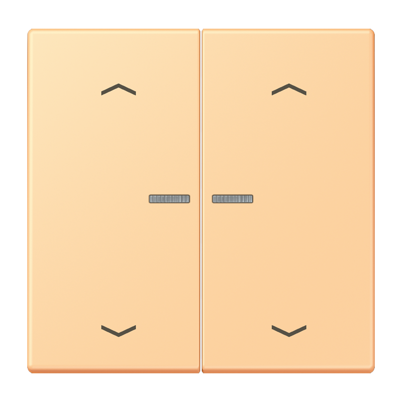 Изображение BTLC17102P258  JUNG HOME кнопка, 2 группы с символами «стрелки» - завод JUNG