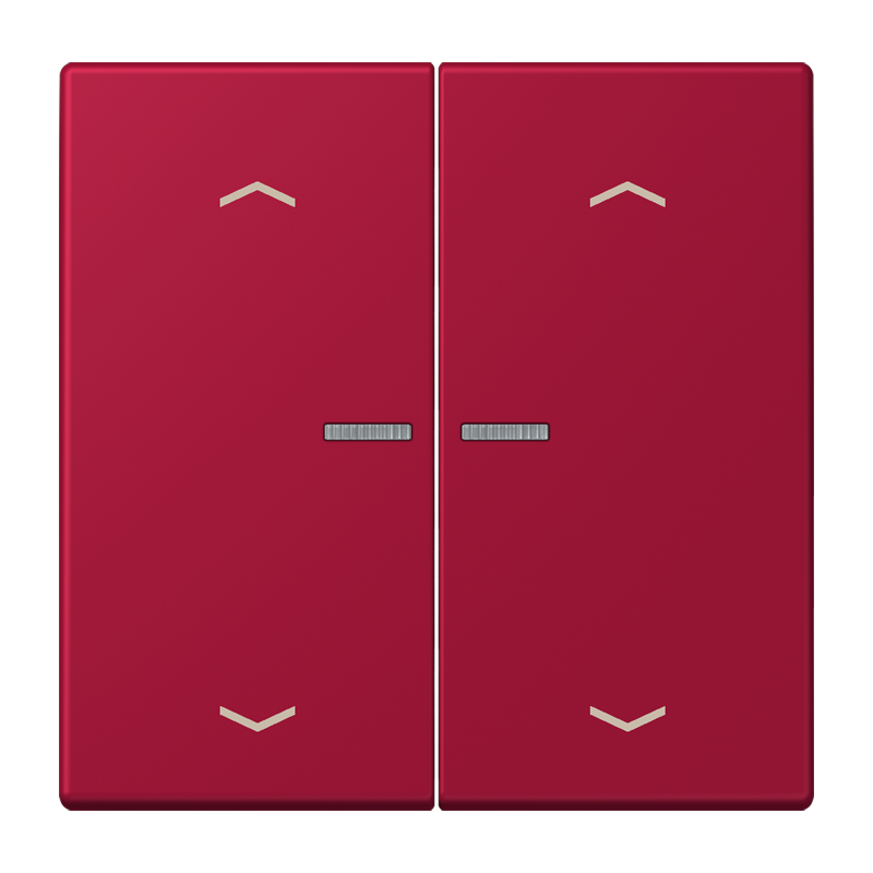 Изображение BTLC17102P229  JUNG HOME кнопка, 2 группы с символами «стрелки» - завод JUNG