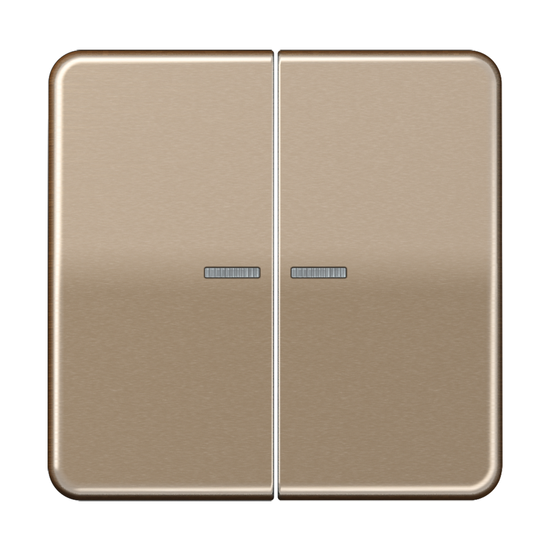 Изображение CD10921STRFGB  KNX RF кнопка, 2 группы - завод JUNG
