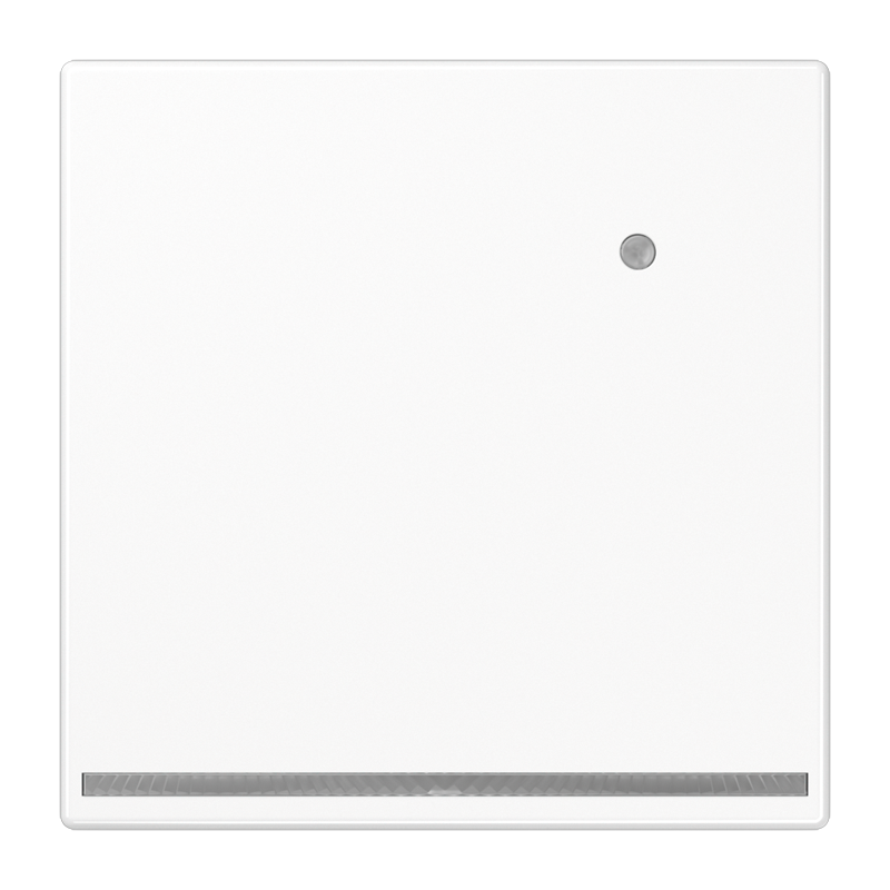 Изображение LS1539-OWWLNW  Ориентационная LED подсветка с датчиком освещенности - LS (белый) - завод JUNG