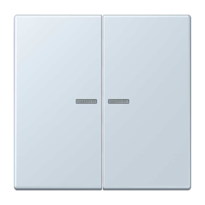 Изображение LC102KO5209  Клавиша с окошком - завод JUNG