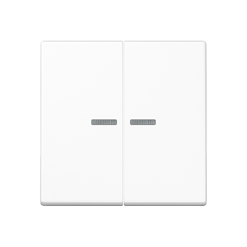 Изображение A10921STRFWW  KNX RF кнопка, 2 группы - завод JUNG