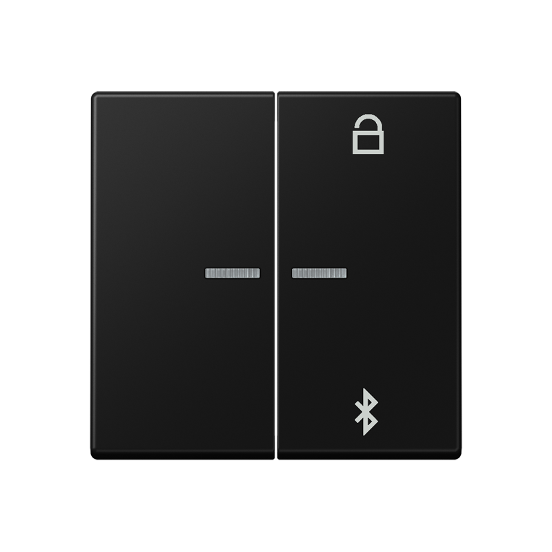 Изображение A1751BFBTSWM  Таймер универсальный Bluetooth - завод JUNG